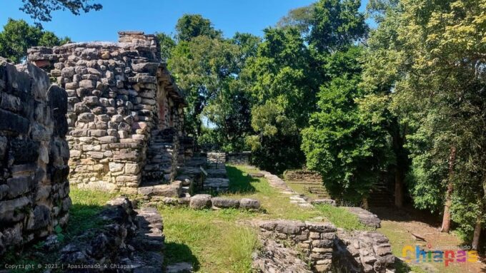 From Palenque: Yaxchilán and Bonampak Tour - Frequently Asked Questions