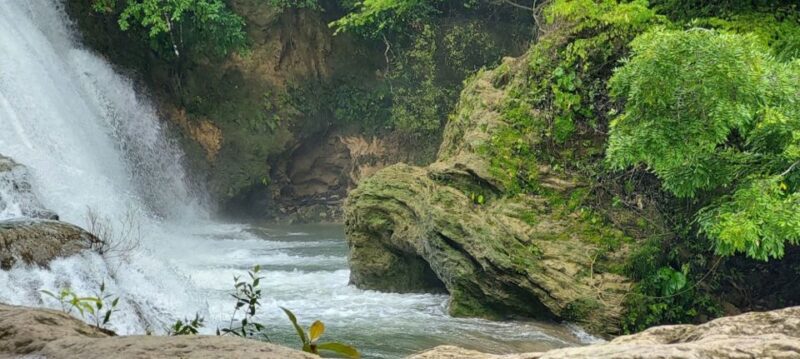 From Palenque:Wonders of the Roberto Barrios Waterfalls Tour - Key Points