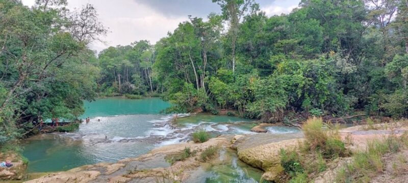 From Palenque:Wonders of the Roberto Barrios Waterfalls Tour - Pricing and Booking