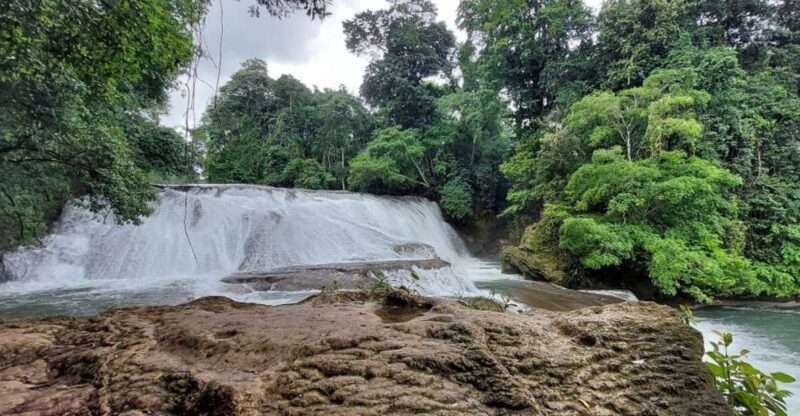 From Palenque:Wonders of the Roberto Barrios Waterfalls Tour - Inclusions