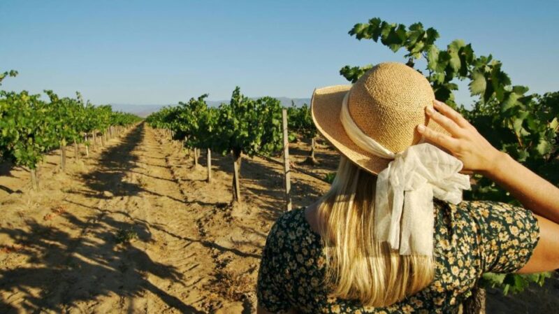 From Palermo: 5-Day Food, Wine, and Culture West Sicily Tour - Key Points