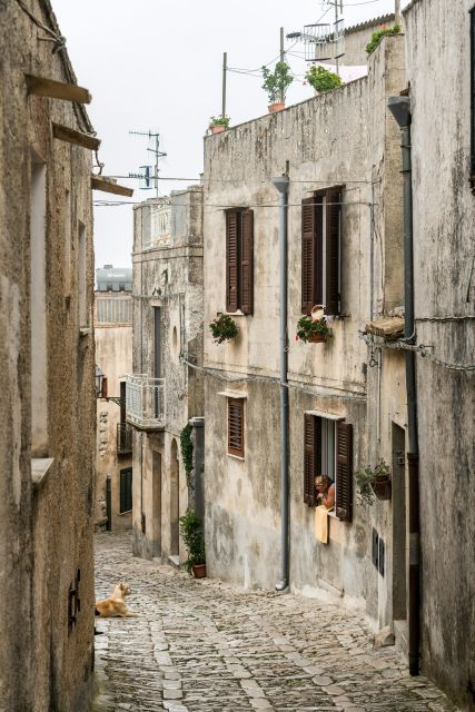 From Palermo: Day Trip to Erice, Segesta and Salt Pans - Frequently Asked Questions