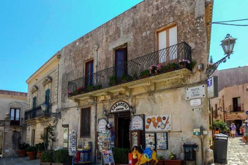 From Palermo: Erice, Salt Pans, and Segesta Day Trip - Transportation and Guide