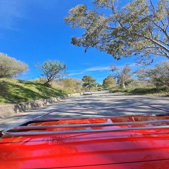 From Palermo Tour of Cefalù and the Madonie - Language and Pickup Options