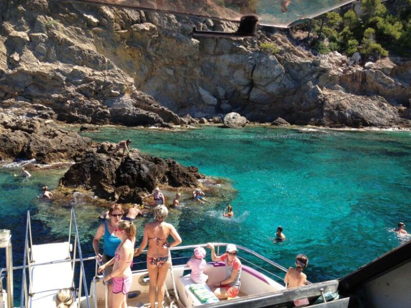From Palma: 3-Hour Morning Dolphin Watching Boat Tour - Meeting Points and Pickup Locations