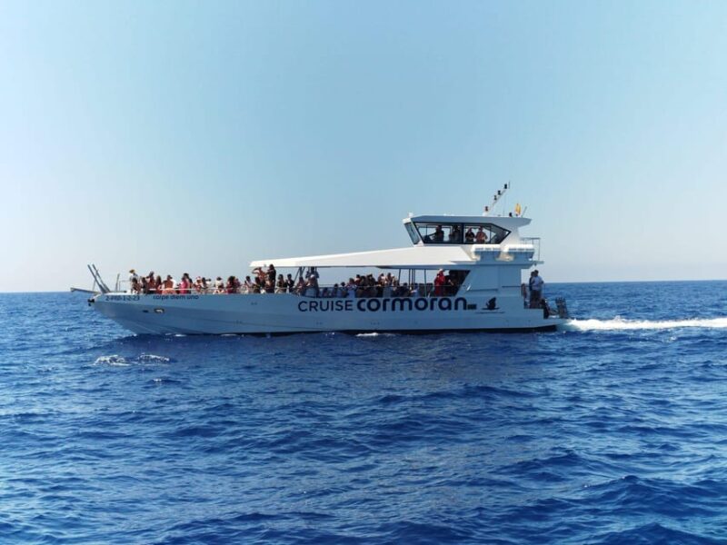 From Palma: Afternoon Dolphin-Watching Boat Tour - Experience Highlights