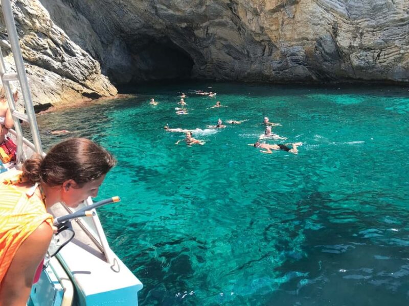 From Palma: Afternoon Dolphin-Watching Boat Tour - Itinerary Details