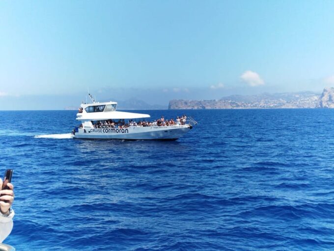 From Palma: Afternoon Dolphin-Watching Boat Tour - Cancellation Policy