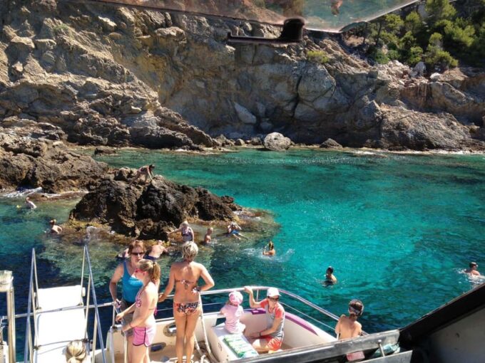 From Palma: Afternoon Dolphin-Watching Boat Tour - Customer Reviews Summary