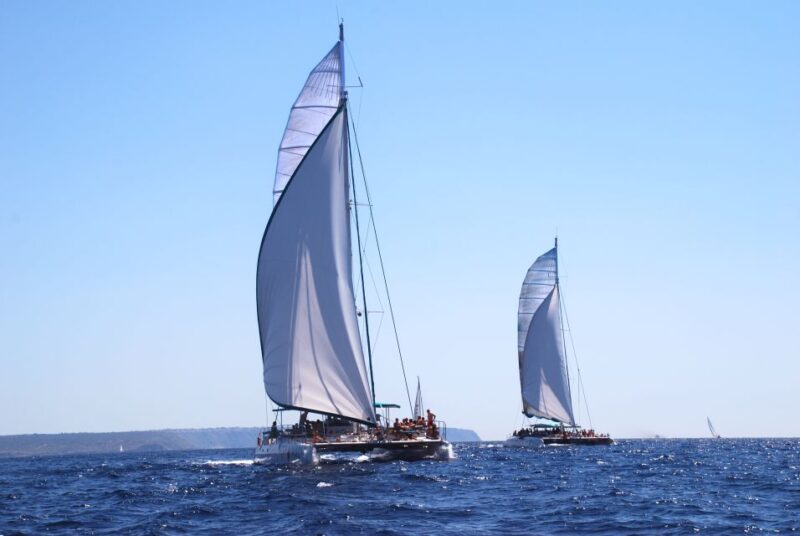 From Palma De Mallorca: Boat Cruise to Illetes - Key Points