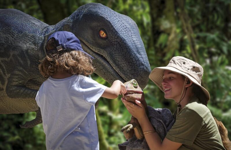 From Palma De Mallorca: Dinosaurland Tour - Key Points