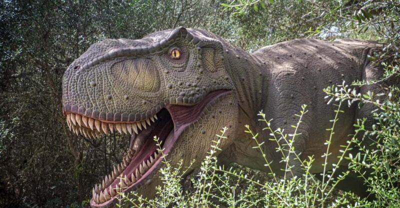 From Palma De Mallorca: Dinosaurland Tour - Dinosaurland Experience