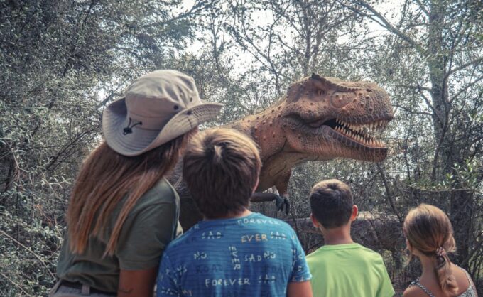 From Palma De Mallorca: Dinosaurland Tour - Important Considerations