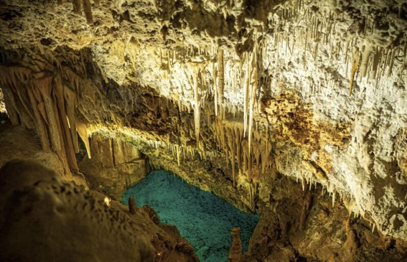 From Palma De Mallorca: Dinosaurland Tour - Additional Information