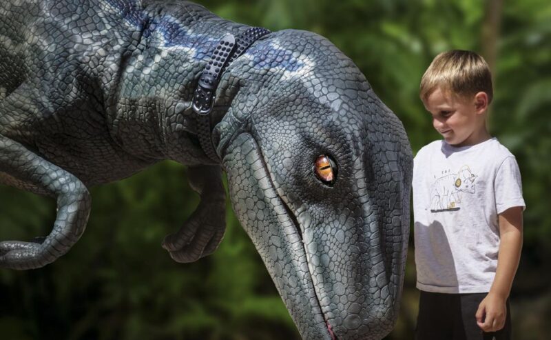 From Palma De Mallorca: Dinosaurland Tour - Dinosaurland Highlights