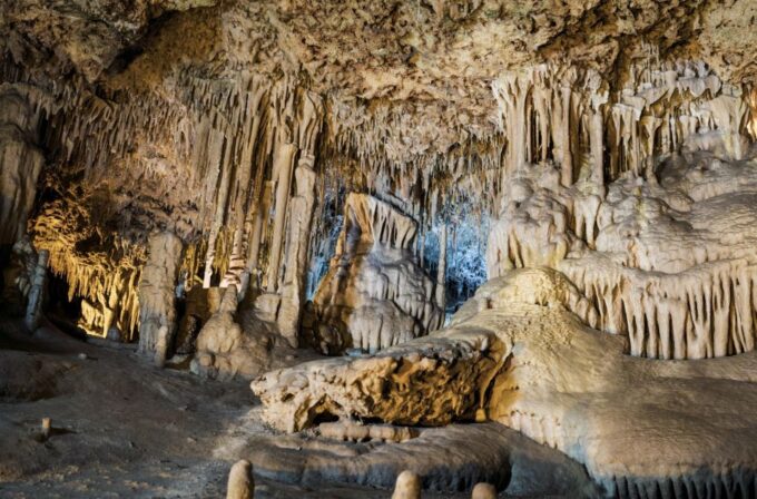 From Palma De Mallorca: Dinosaurland Tour - Transportation Details