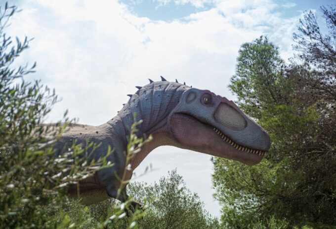 From Palma De Mallorca: Dinosaurland Tour - Accessibility Considerations
