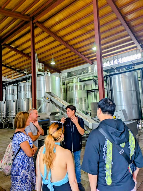 From Palma De Mallorca: Private Wine and Local Flavors Tour - FAQ
