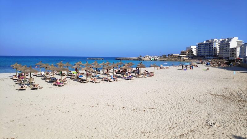 From Palma: Full Day Mallorca Tour With a Professional Guide - Key Points