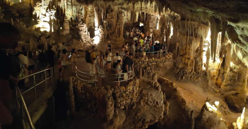 From Palma: Full Day Mallorca Tour With a Professional Guide - Itinerary Highlights