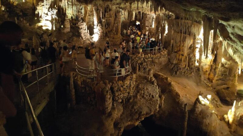 From Palma: Full Day Mallorca Tour With a Professional Guide - Palma Cathedral and Royal Palace