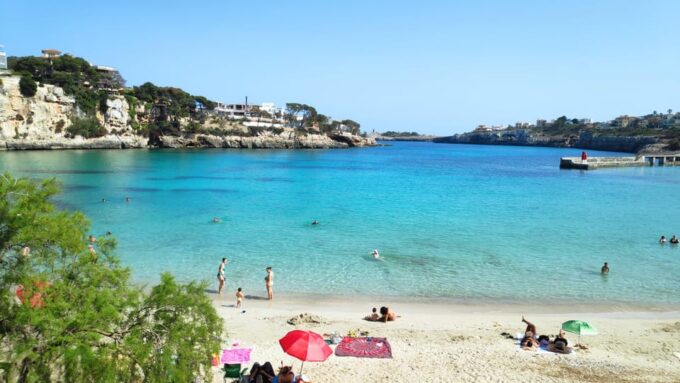 From Palma: Full Day Mallorca Tour With a Professional Guide - Transportation and Accessibility