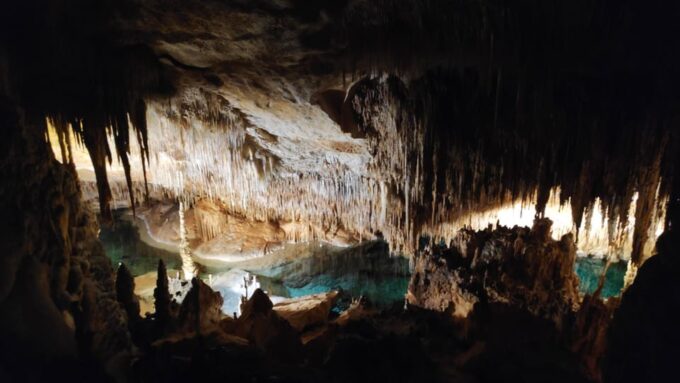 From Palma: Full Day Mallorca Tour With a Professional Guide - Frequently Asked Questions