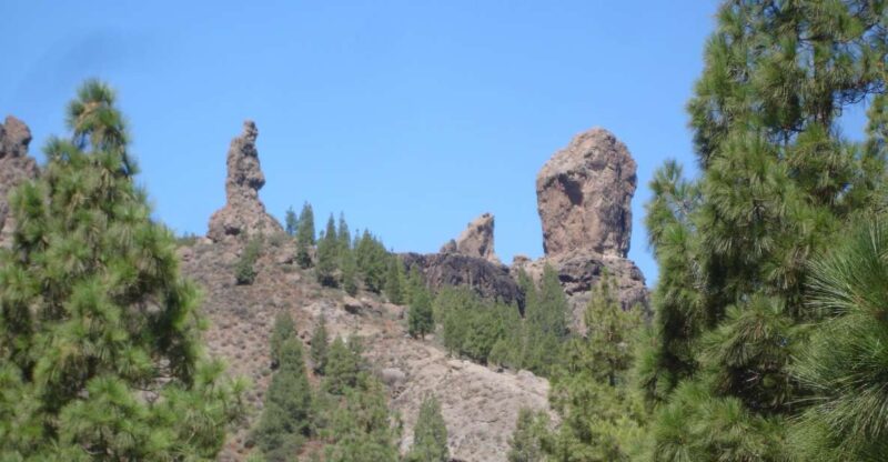From Palmas: Pico De Las Nieves & Roque Nublo Full-Day Trip - Key Points