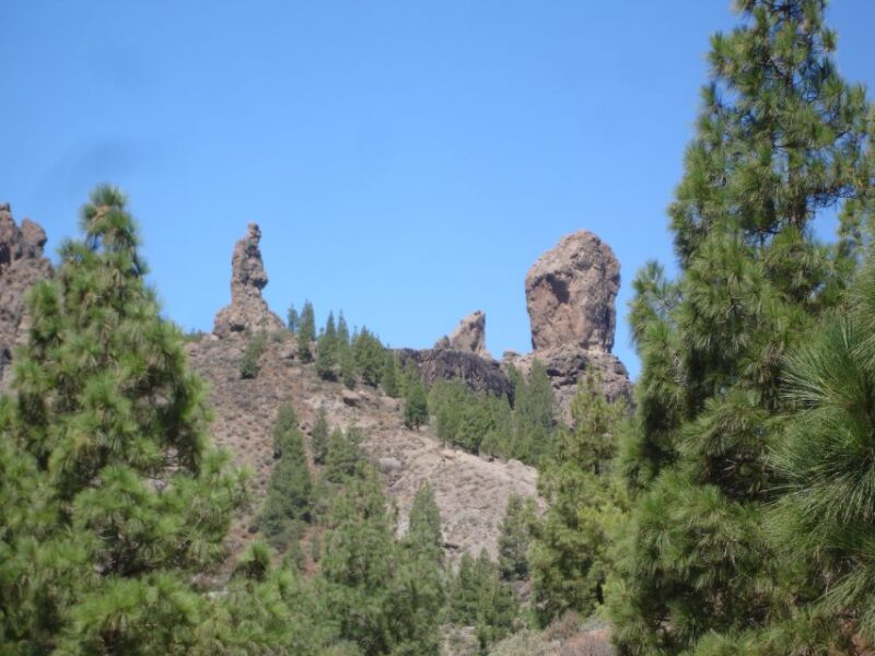 From Palmas: Pico De Las Nieves & Roque Nublo Full-Day Trip - Transportation and Pickup Details