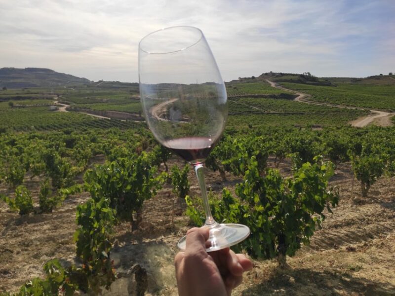 From Pamplona or Logroño: Rioja Wineries Day Trip W/ Tasting - Key Points