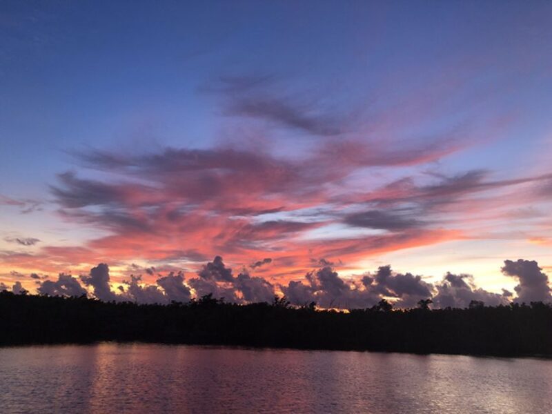 From Panama City, FL: Shell Island Ferry - Experiencing Shell Islands Untouched Beauty