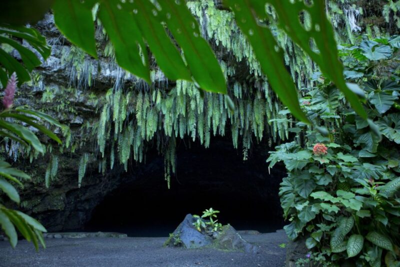 From Papeete: Tahiti Highlights Full-Day Private Tour - Tour Overview and Details