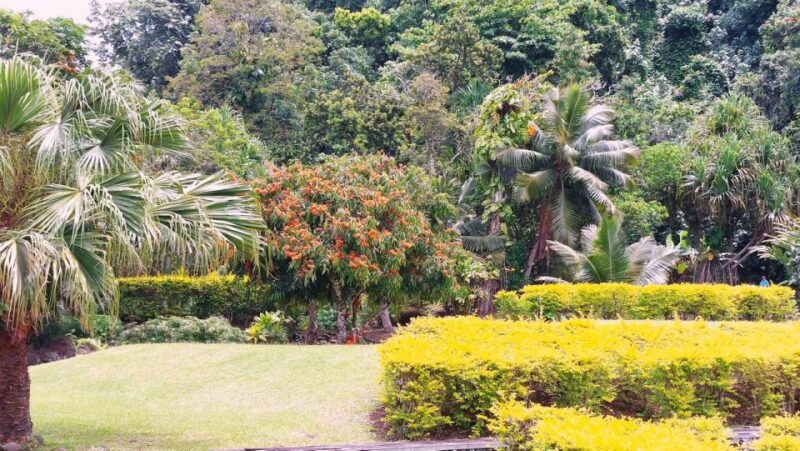 From Papeete: Tahiti Highlights Full-Day Private Tour - Tour Highlights and Experience