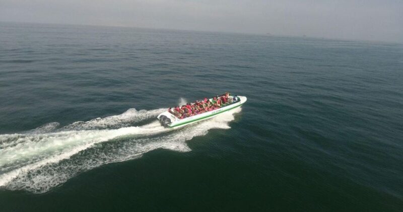 From Paraacas ||Ballestas Islands + Paracas National Reserve - Itinerary and Experience