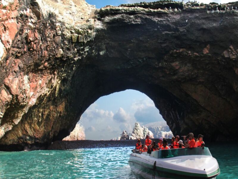 From Paracas: Ballestas Island Boat Tour With Entrances - Language Options