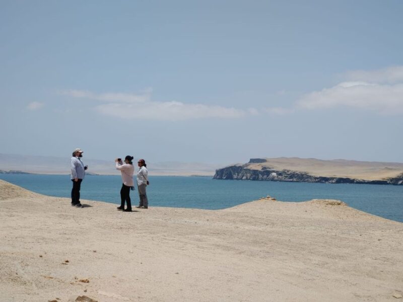 From Paracas: Ballestas Island Cruise & Paracas Reserve Tour - Discovering Paracas National Reserve