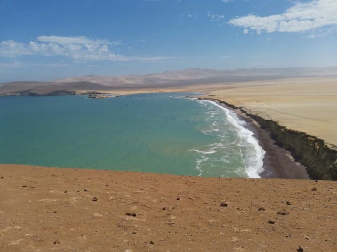 From Paracas: Ballestas Island Cruise & Paracas Reserve Tour - Customer Feedback on the Tour