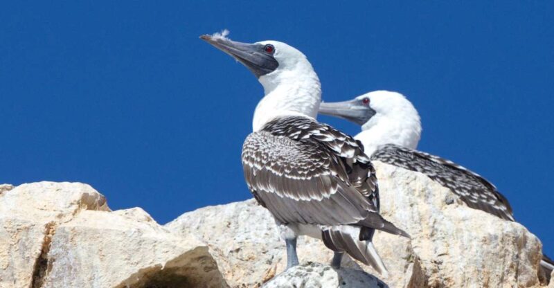 From Paracas: Ballestas Islands and Tambo Colorado Tour - Tambo Colorado Highlights
