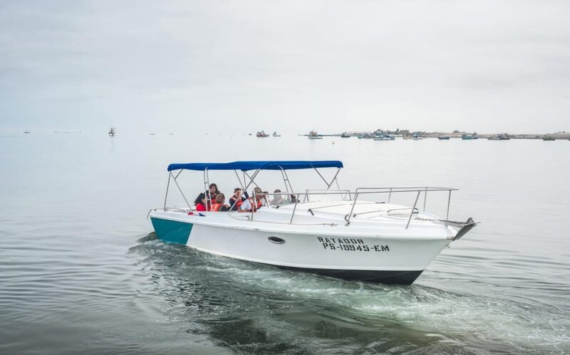 From Paracas: Ballestas Islands by Private Boat Venturia - Key Points