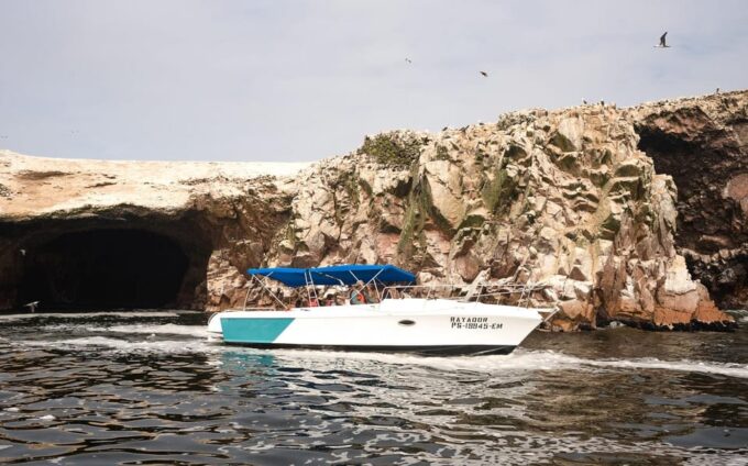 From Paracas: Ballestas Islands by Private Boat Venturia - Cancellation Policy