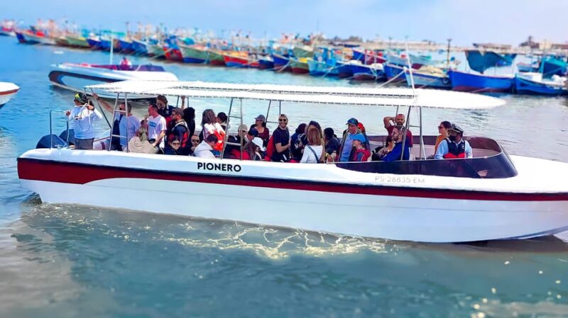 From Paracas: Ballestas Islands Guided Boat Tour - Convenient Transportation Options
