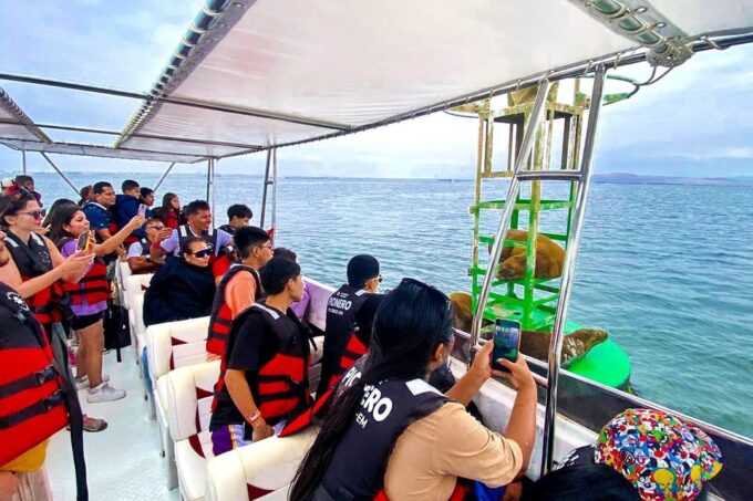 From Paracas: Ballestas Islands Guided Boat Tour - Accessibility and Safety Features