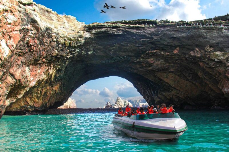 From Paracas: Ballestas Islands Guided Tour - Participant Information