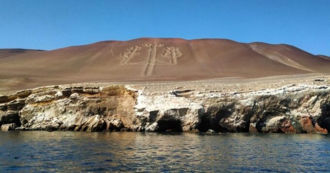 From Paracas: Ballestas Islands Guided Tour - Tour Pricing and Duration