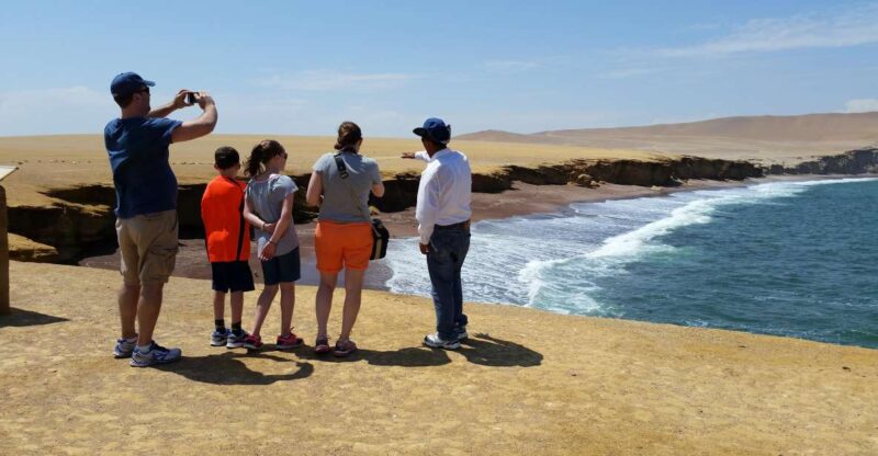 From Paracas: Ballestas Islands & Paracas Natural Reserve - Key Points
