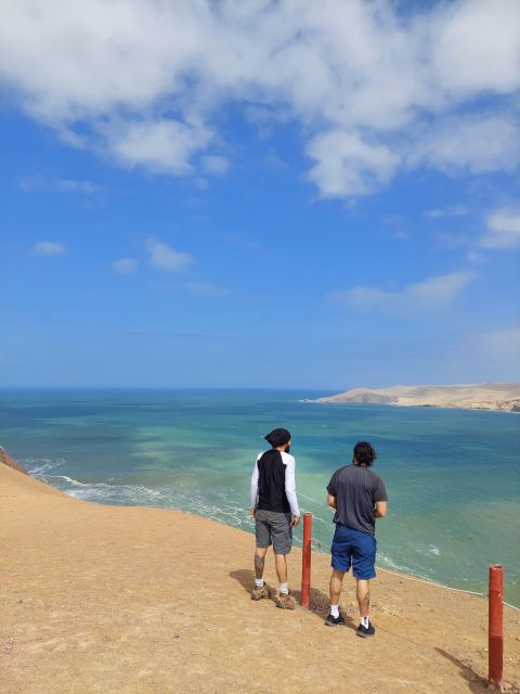 From Paracas: Ballestas Islands & Paracas Natural Reserve - Itinerary