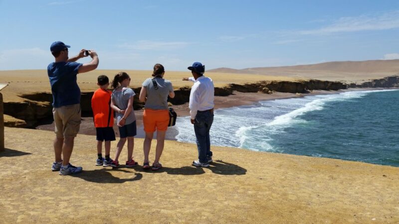 From Paracas: Ballestas Islands & Paracas Natural Reserve - Candelabro De Paracas and Ballestas Islands