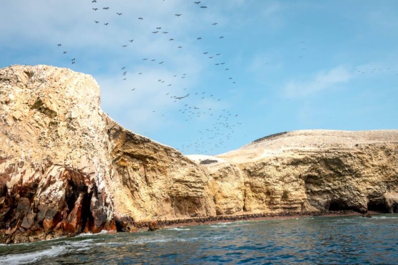 From Paracas: Ballestas Islands & Paracas Natural Reserve - Inclusions and Logistics