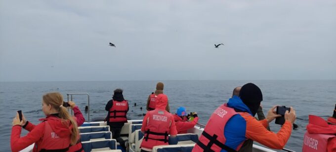 From Paracas: Ballestas Islands & Paracas Natural Reserve - Recommended Items