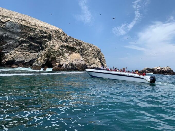 From Paracas: Ballestas Islands & Paracas Natural Reserve - Personalized Experience